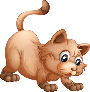 gatto01